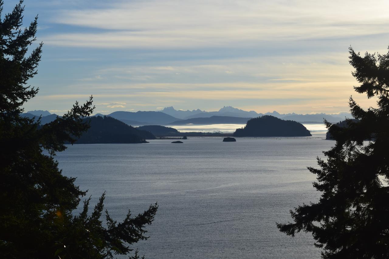 مبيت وإفطار أوك هاربور The Bluff On Whidbey المظهر الخارجي الصورة